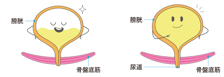 骨盤底筋が鍛えられている状態